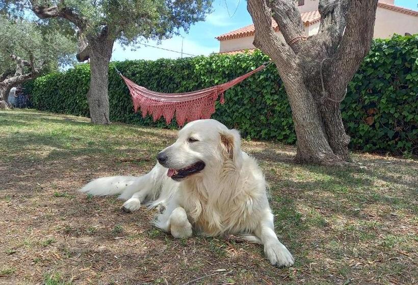 ペンション Apartments In Villa Isabel