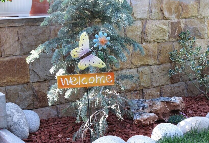 פנסיון Aurora Guest House