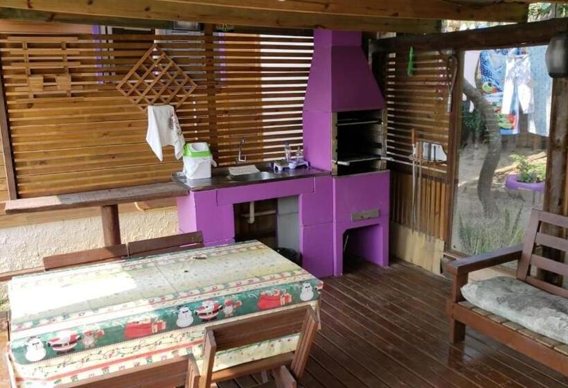 پانسیون Hindu Box Containers E Cabanas