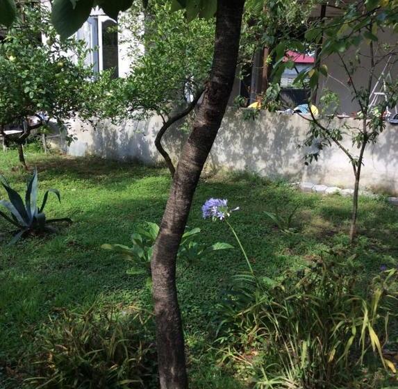 پانسیون Kety House