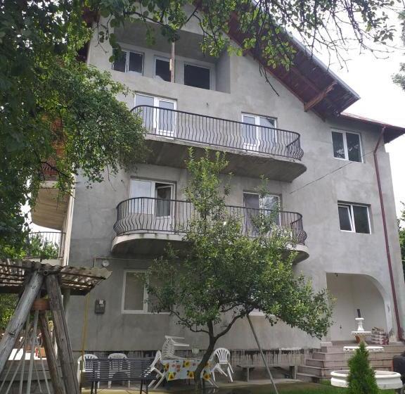 بنسيون Vila Elena Si Ionut