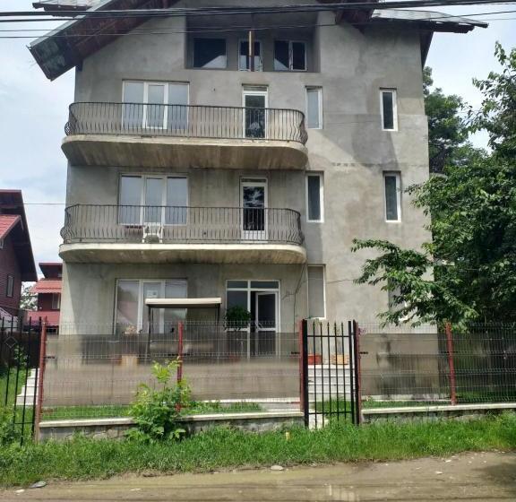 بنسيون Vila Elena Si Ionut