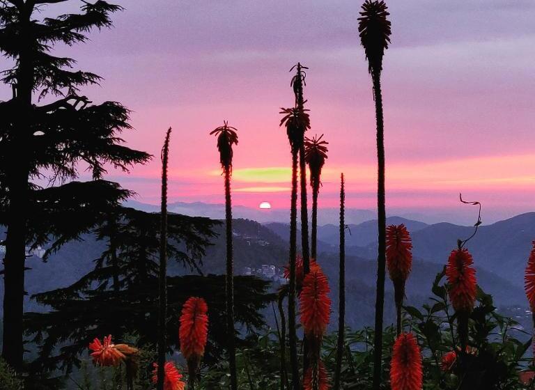 استراحتگاه The Chalets Naldehra