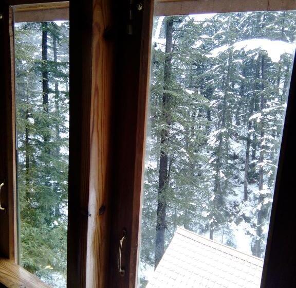 استراحتگاه The Chalets Naldehra