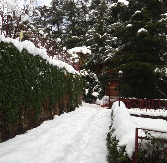 استراحتگاه The Chalets Naldehra