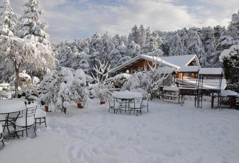 استراحتگاه The Chalets Naldehra