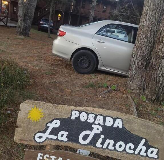 هاستل La Pinocha