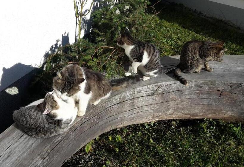 Отель Biohof Gölly