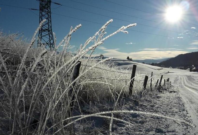 فندق Biohof Gölly