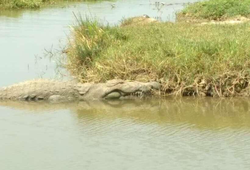Отель Bundala Park View