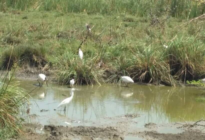 Отель Bundala Park View