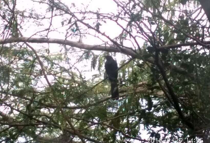 Отель Bundala Park View