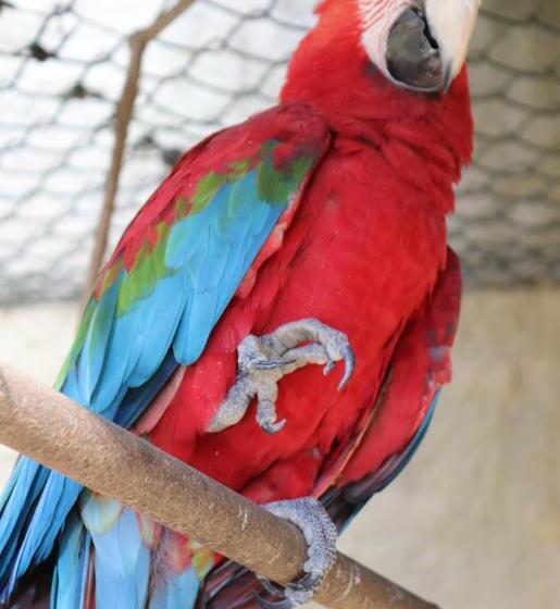 Отель Estância Canaã Atibaia