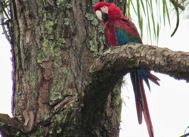 Отель Estância Canaã Atibaia