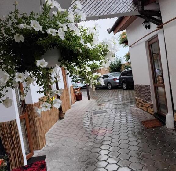 膳宿费 Amaraz Center