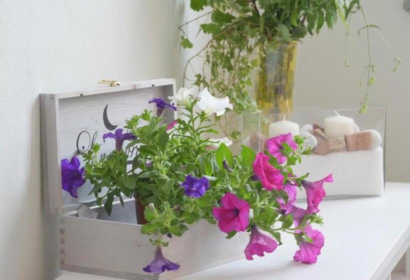 ペンション Casa Cardinali