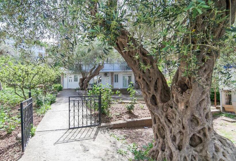 پانسیون Hana Accommodation