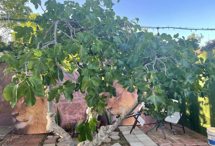 ペンション The Village