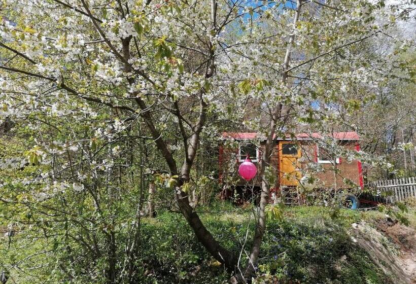 Пансион Villa Viriditas