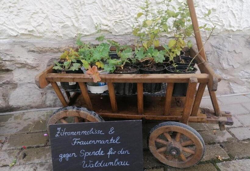 Пансион Villa Viriditas