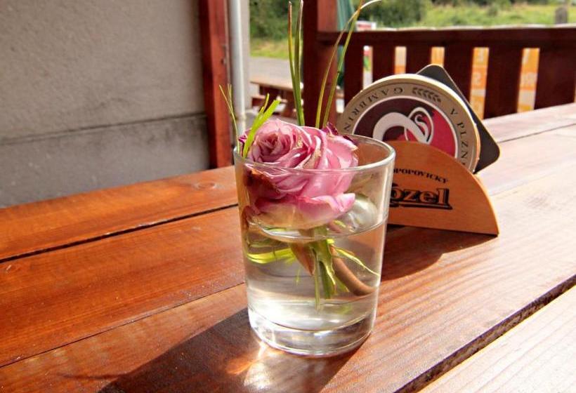 Pension Vzlet S Tělocvičnou