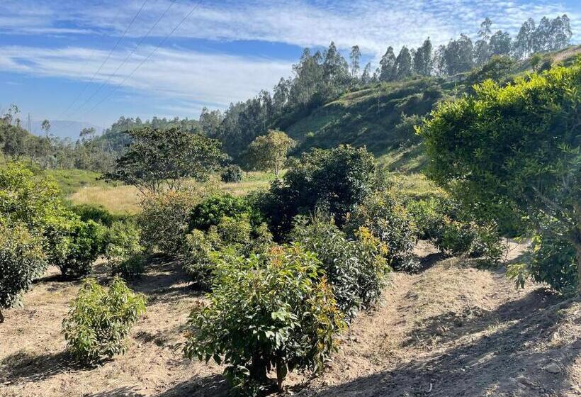 Quito Airport Suites Hotel