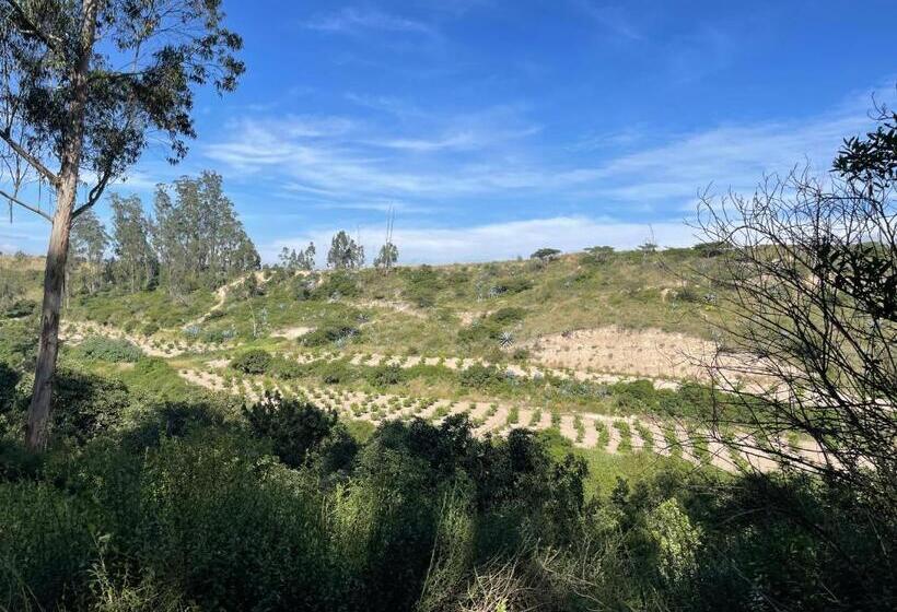 Quito Airport Suites Hotel