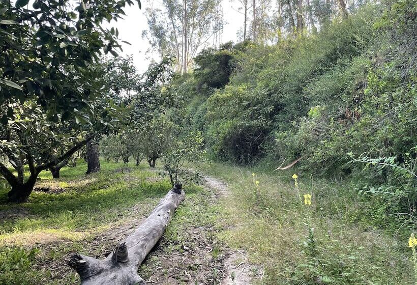 Quito Airport Suites Hotel