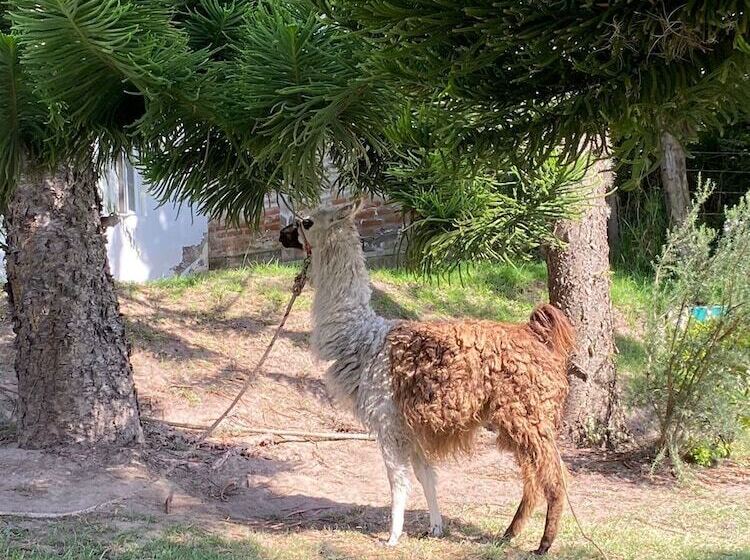 Quito Airport Suites Hotel