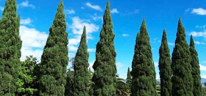 Quito Airport Suites Hotel