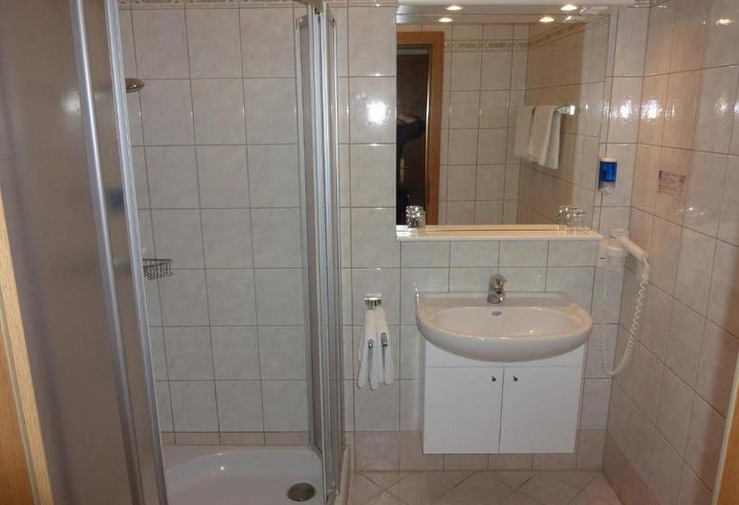 فندق صغير Gasthof Goldenes Schiff