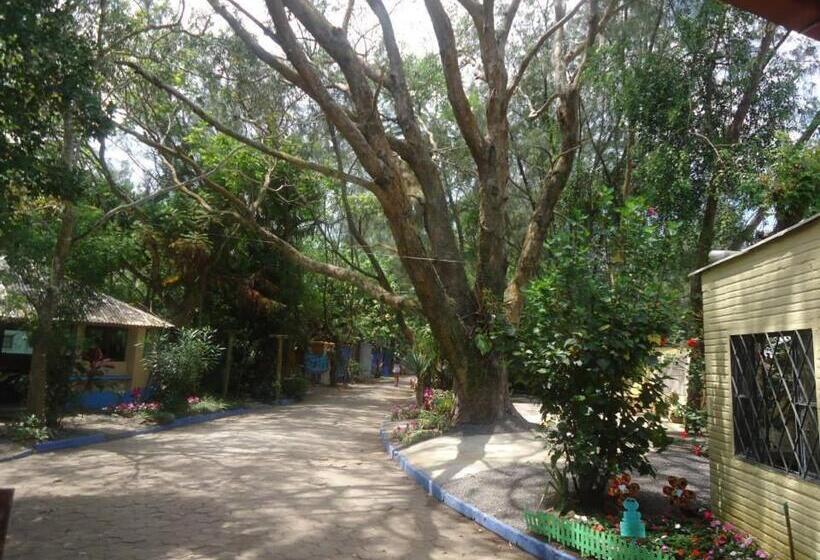 הוסטל Pousada Fazendinha Tatuira