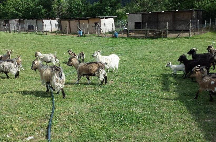 فندق Agriturismo Cashmere