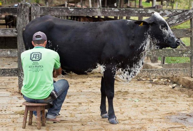 호텔 Fazenda água Branca