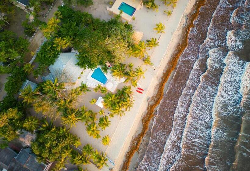 בית מלון כפרי Quinta Del Mar El Paraiso