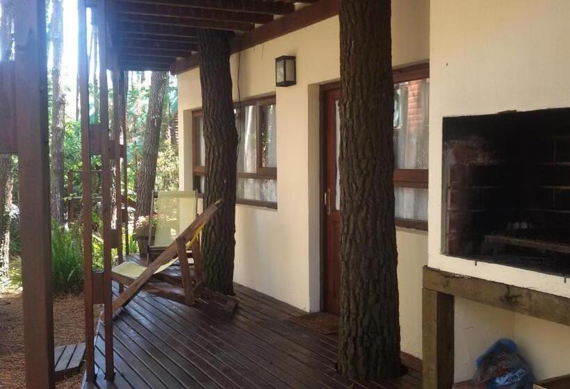 La Hora Del Sol Apart