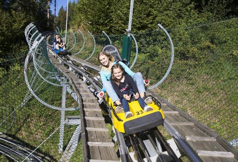 Пансион Alpenkönig