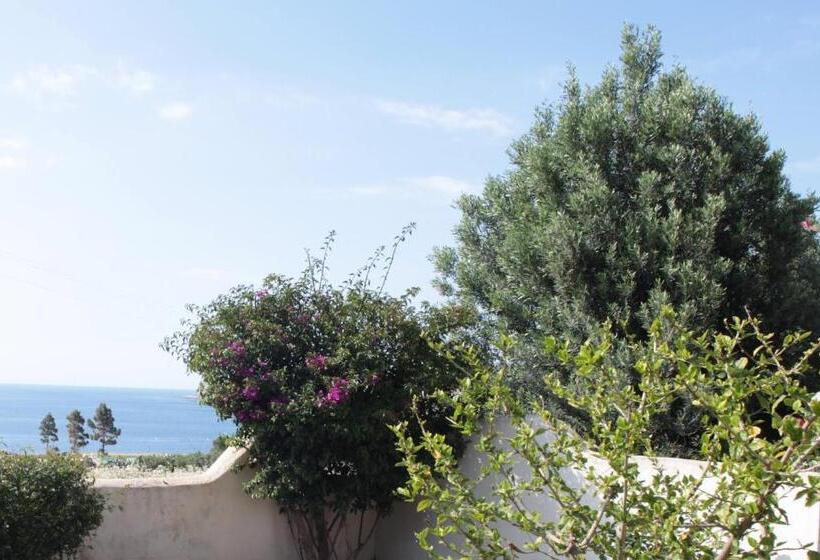 膳宿费 Country Villa San Vito Bay