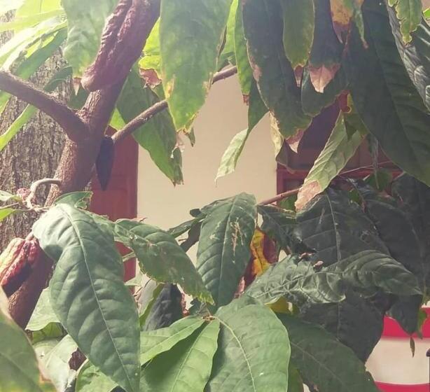 پانسیون Mi Ranchito, Centro