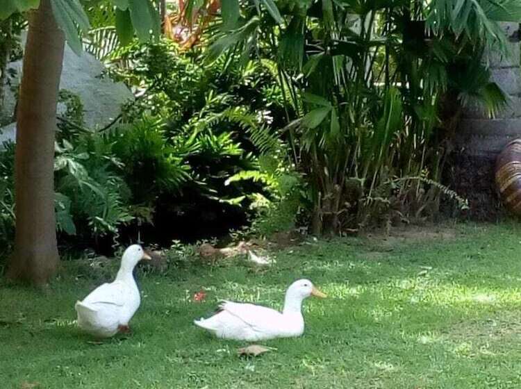 Пансион Pousada Conquistador