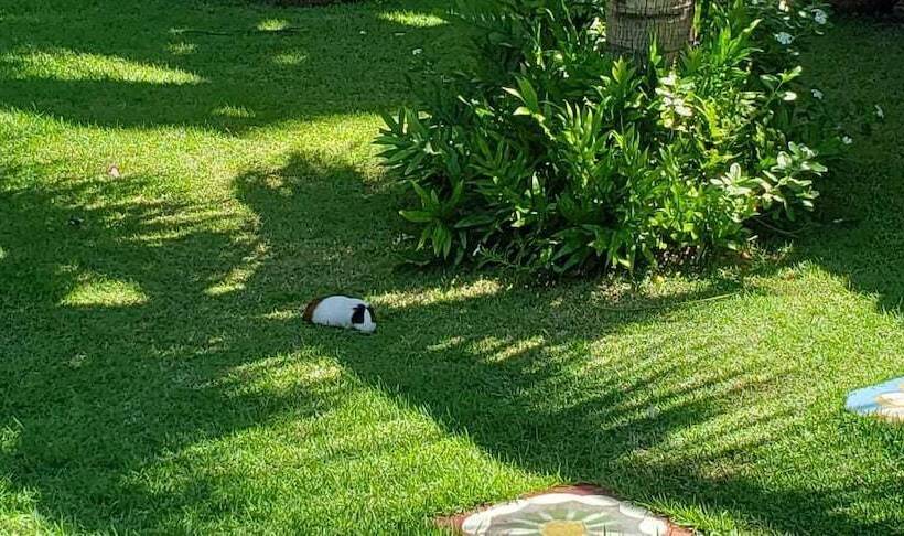 Пансион Pousada Conquistador