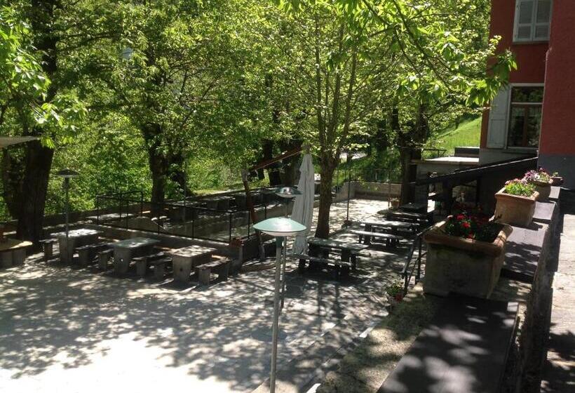 Общежитие Grotto Zendralli