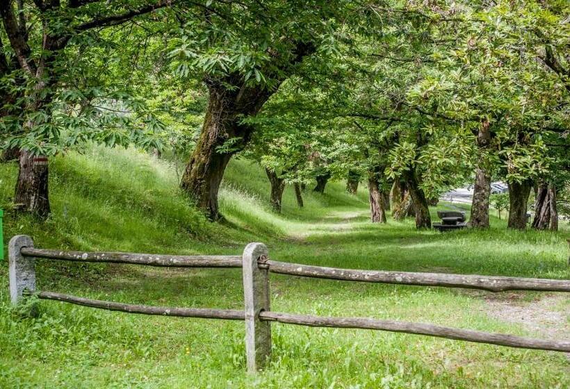 Общежитие Grotto Zendralli