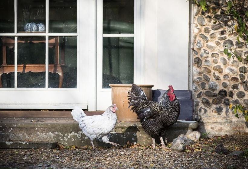 Bed and Breakfast Sidney House Farm