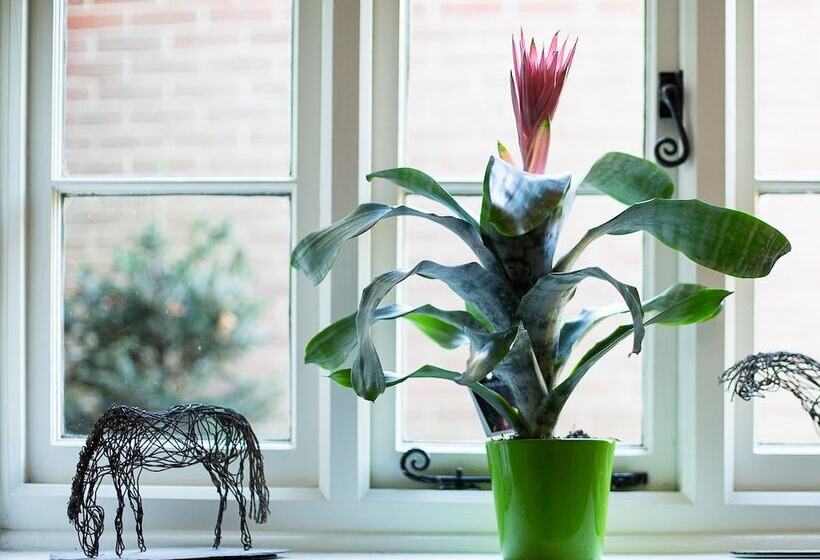 Bed and Breakfast Sidney House Farm