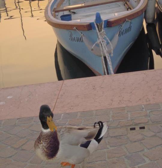 Отель Casablanca