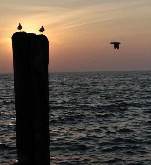 Отель Casablanca