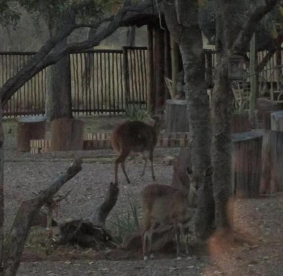 ホテル Mon Repos Guest Farm