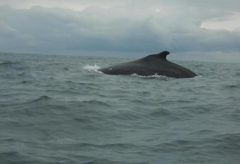 酒店 Paraiso Escondido