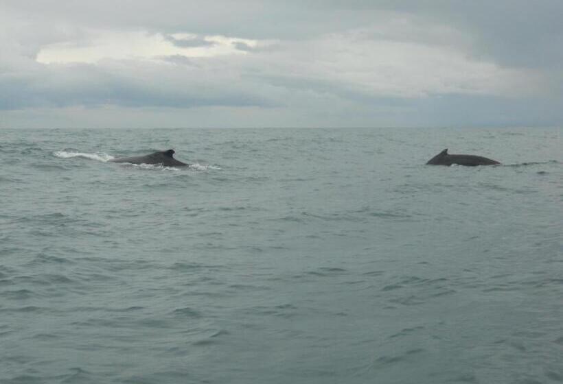 هتل Paraiso Escondido